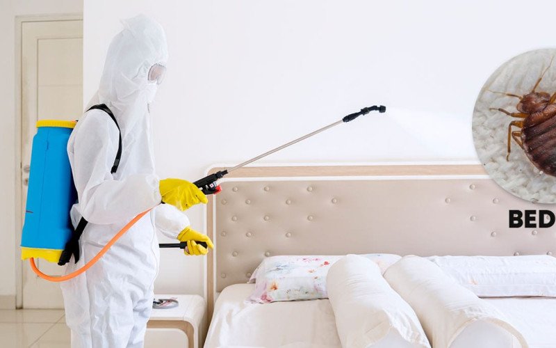 PEST CONTROL
